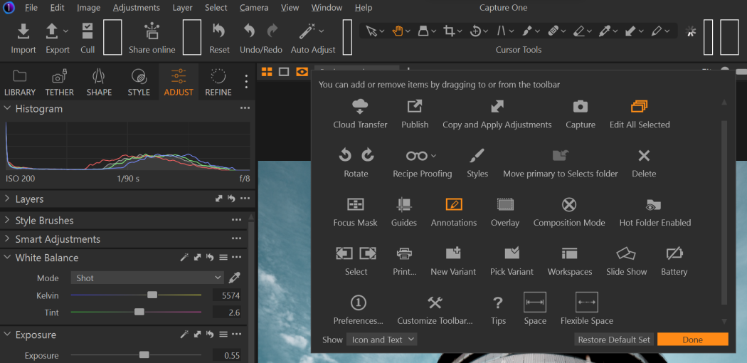 Capture One Pro screenshot 1